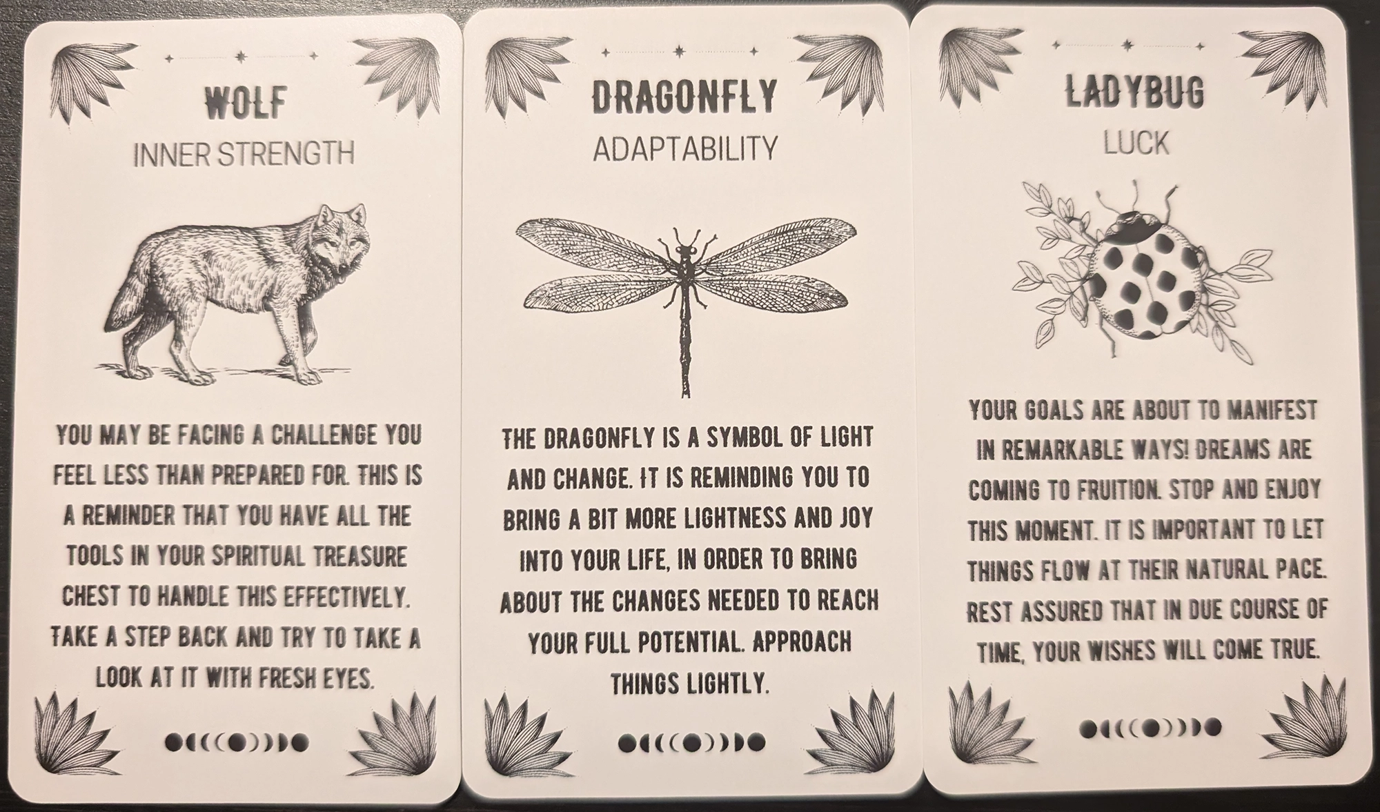 3 cards from the Spirit Animal Oracle of the Wolf, Dragonfly, and Ladybug.