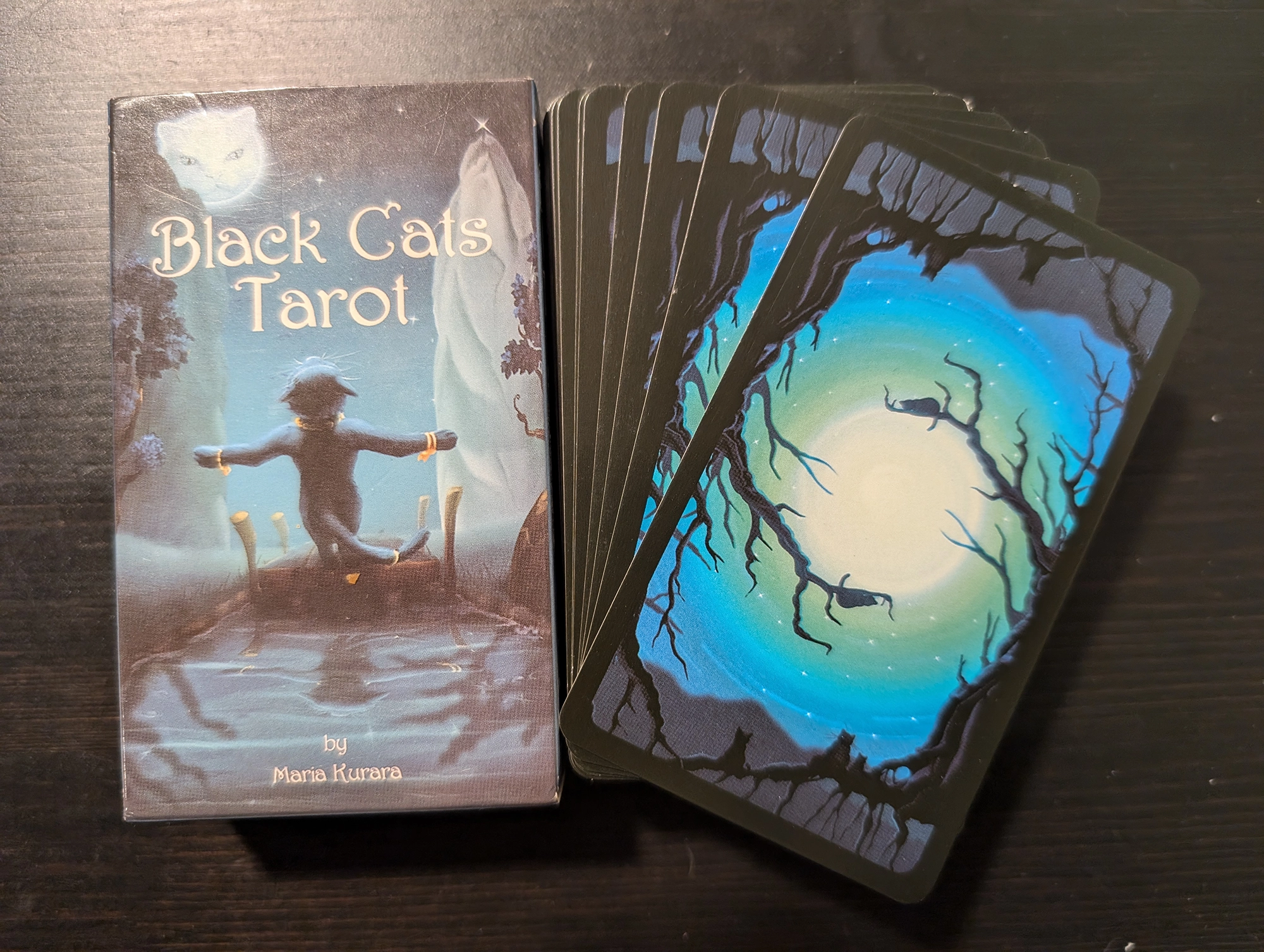 Black Cats Tarot deck and back of card stack